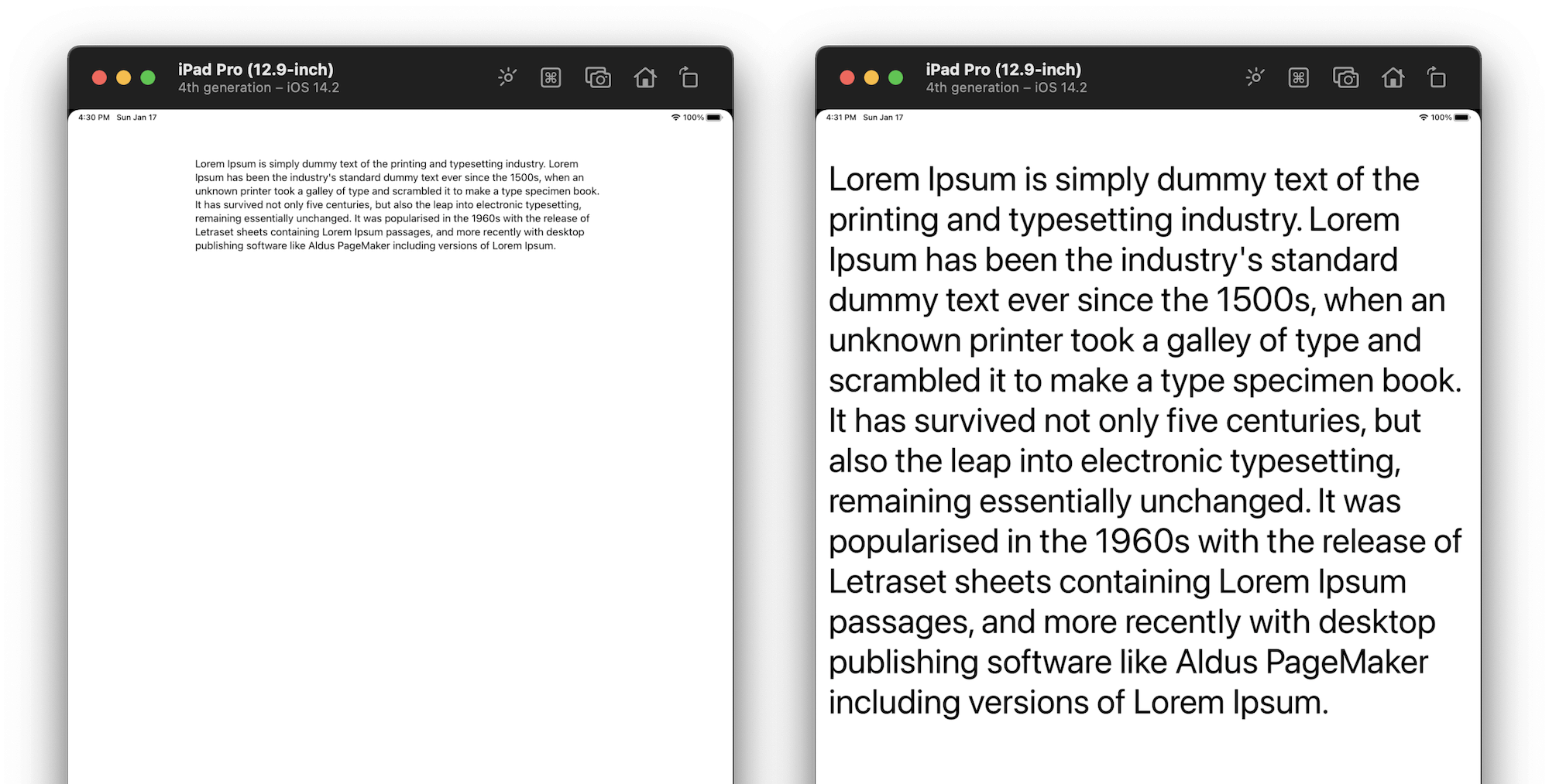 Dynamic Type UI example